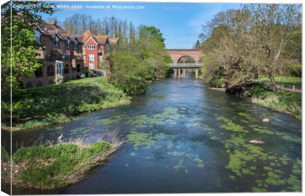Leatherhead bridge and river Canvas Print by Kevin White