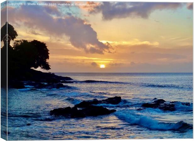 Sunset at Beau Vallon beach Seychelles Canvas Print by Sheila Ramsey