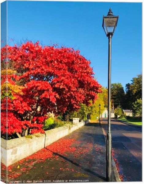 Autumn Red Tree Canvas Print by Alan Barnes