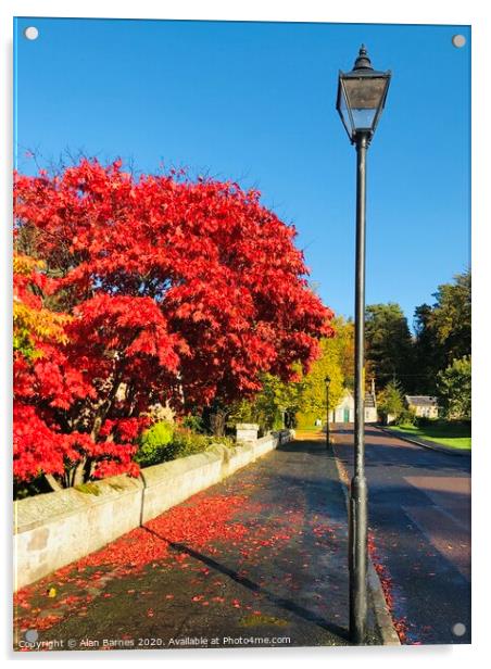 Autumn Red Tree Acrylic by Alan Barnes