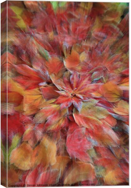 Autumn explosion Canvas Print by Simon Johnson