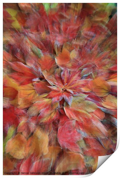 Autumn explosion Print by Simon Johnson