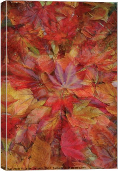 Autumn leaf Collage Canvas Print by Simon Johnson