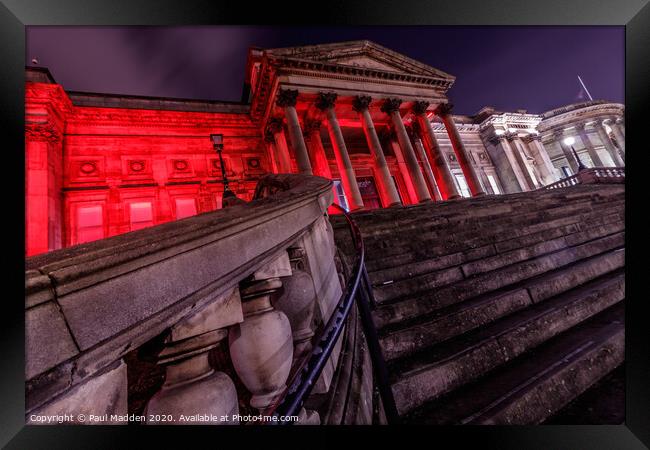 World Museum Liverpool Framed Print by Paul Madden