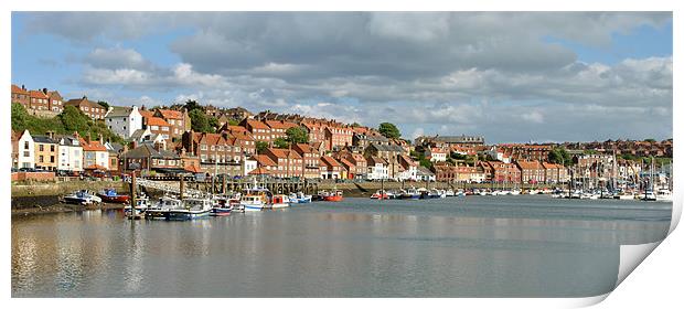 East Whitby Panoramic Print by graham young