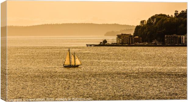 Three Sails in the Sunset Canvas Print by Darryl Brooks