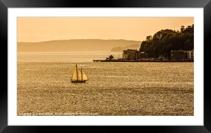 Three Sails in the Sunset Framed Mounted Print by Darryl Brooks