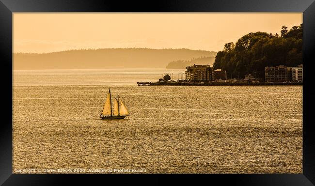 Three Sails in the Sunset Framed Print by Darryl Brooks
