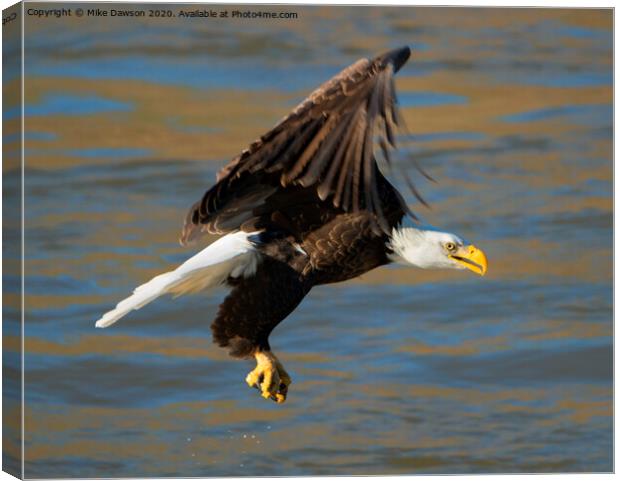 Empty Handed Canvas Print by Mike Dawson