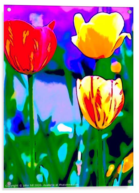 Digital Painting of Tulips Acrylic by john hill