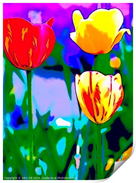 Digital Painting of Tulips Print by john hill