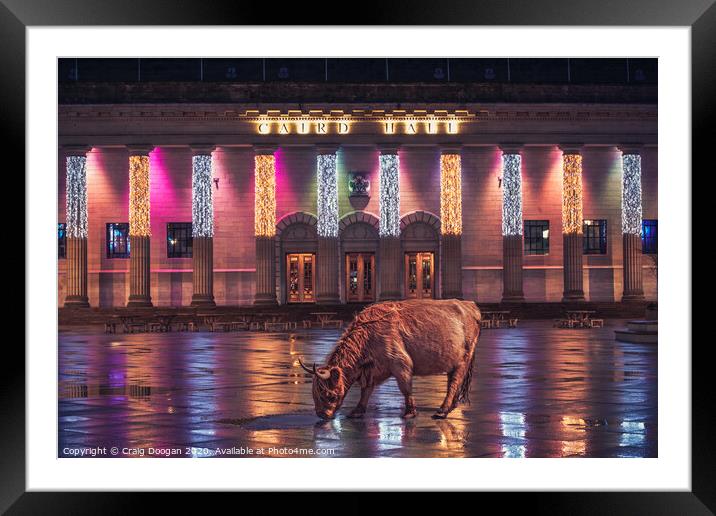 Highland Cow in Dundee Framed Mounted Print by Craig Doogan