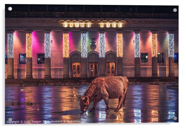 Highland Cow in Dundee Acrylic by Craig Doogan