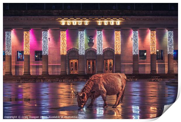 Highland Cow in Dundee Print by Craig Doogan