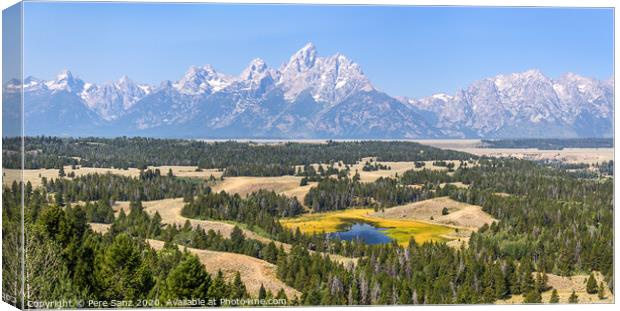 Hedrick Pond Overlook Panorama  at Grand Teton National Park, WY Canvas Print by Pere Sanz