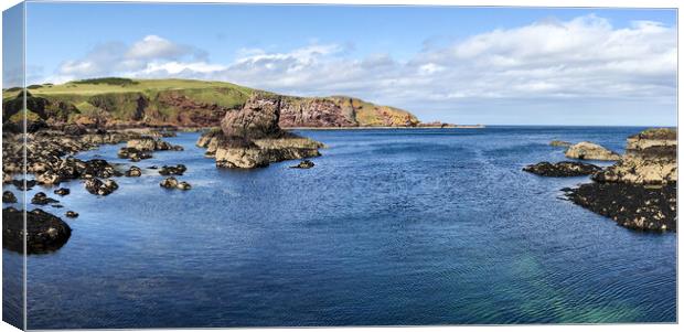 Saint Abbs Panorama  Canvas Print by Naylor's Photography