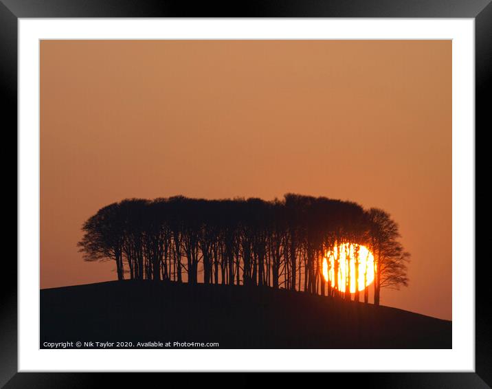 Sun setting behind the 'nearly home' trees, Devon, UK Framed Mounted Print by Nik Taylor