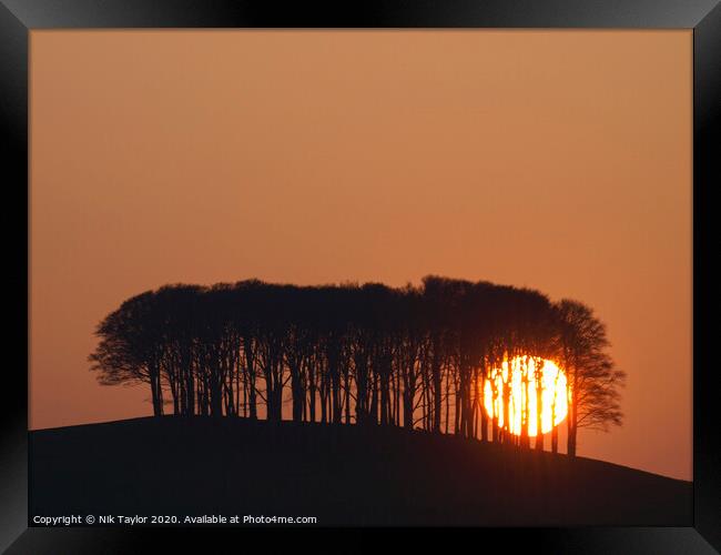 Sun setting behind the 'nearly home' trees, Devon, UK Framed Print by Nik Taylor
