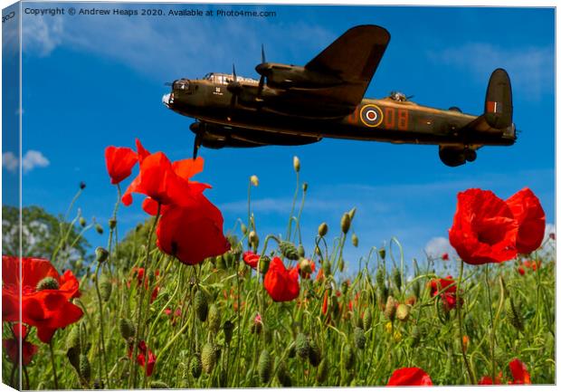 Avro Lancaster bomber poppies Canvas Print by Andrew Heaps