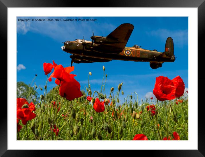 Avro Lancaster bomber poppies Framed Mounted Print by Andrew Heaps