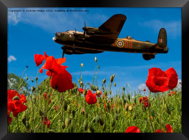 Avro Lancaster bomber poppies Framed Print by Andrew Heaps