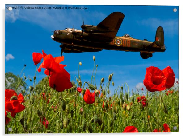 Avro Lancaster bomber poppies Acrylic by Andrew Heaps
