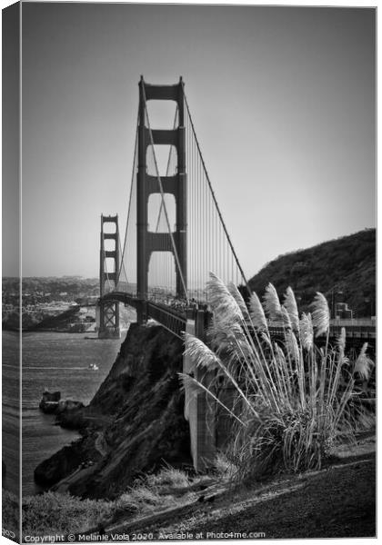 SAN FRANCISCO Golden Gate Bridge | monochrome Canvas Print by Melanie Viola