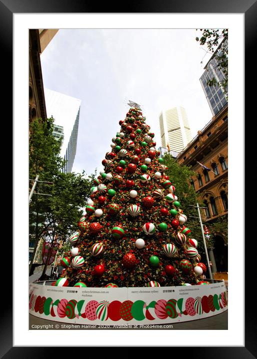 Christmas Tree Sydney Framed Mounted Print by Stephen Hamer