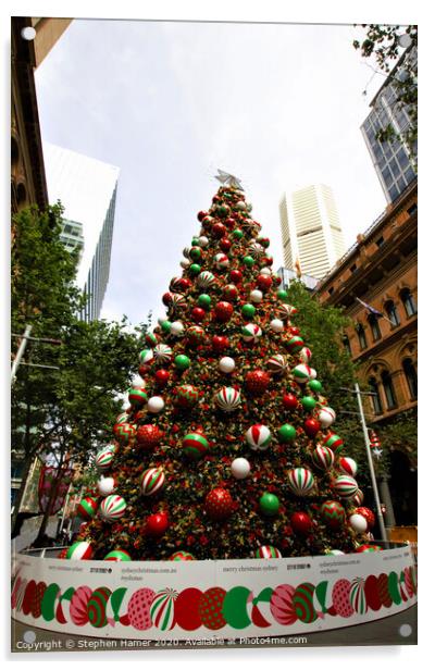Christmas Tree Sydney Acrylic by Stephen Hamer