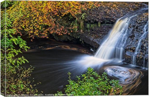 Hamsterley Forest Woodland Waterfall Canvas Print by Martyn Arnold