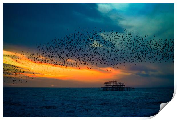 Starlings At Sunset Over The West Pier Print by Chris Lord