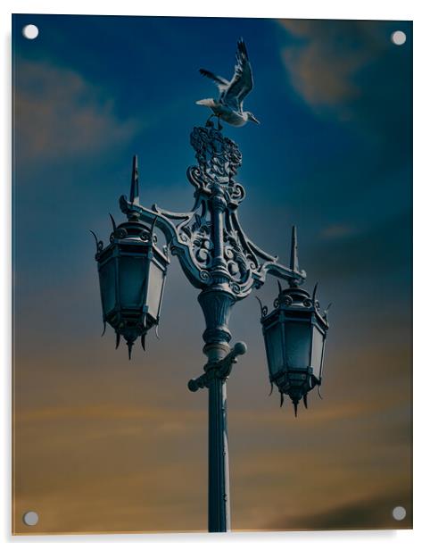Brighton Victorian Streetlight Acrylic by Chris Lord
