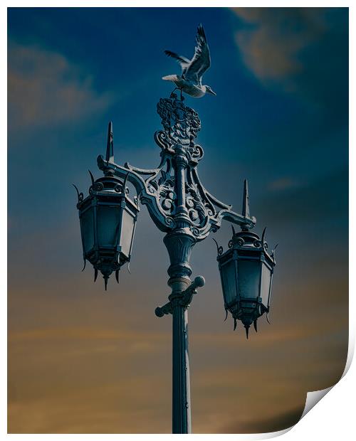 Brighton Victorian Streetlight Print by Chris Lord