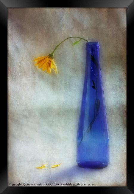 The Forgotten Flower Framed Print by Peter Lovatt  LRPS
