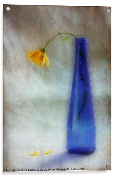 The Forgotten Flower Acrylic by Peter Lovatt  LRPS
