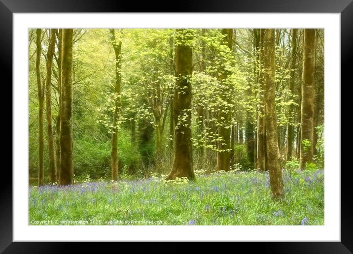 The Enchanted Forest Framed Mounted Print by jim Hamilton