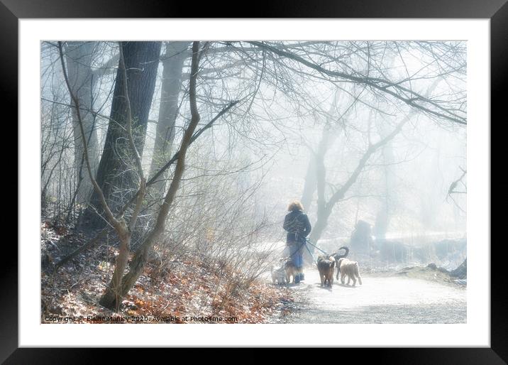 Walking the dogs in the Fog Framed Mounted Print by Elaine Manley