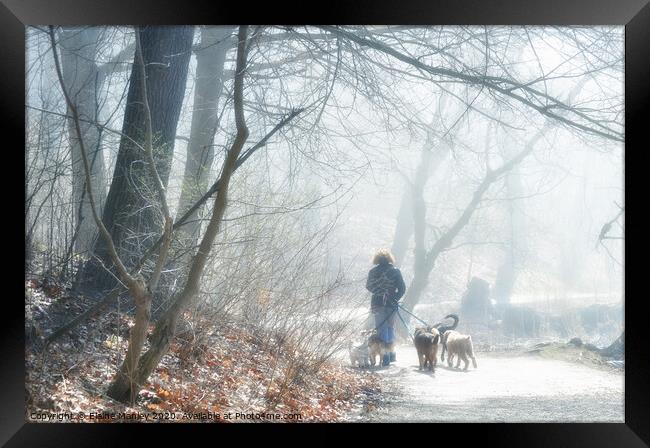 Walking the dogs in the Fog Framed Print by Elaine Manley