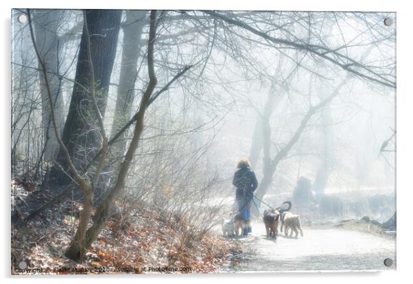 Walking the dogs in the Fog Acrylic by Elaine Manley