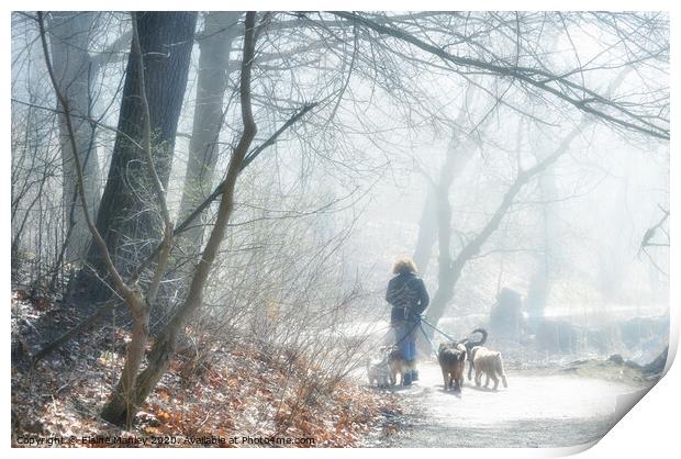 Walking the dogs in the Fog Print by Elaine Manley