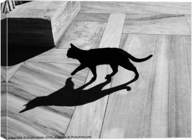 Black Cat and Shadow on Marble Floor Canvas Print by Engin Sezer