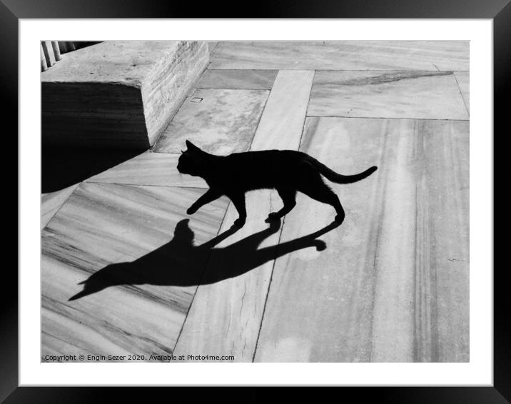 Black Cat and Shadow on Marble Floor Framed Mounted Print by Engin Sezer