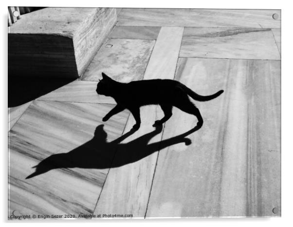 Black Cat and Shadow on Marble Floor Acrylic by Engin Sezer