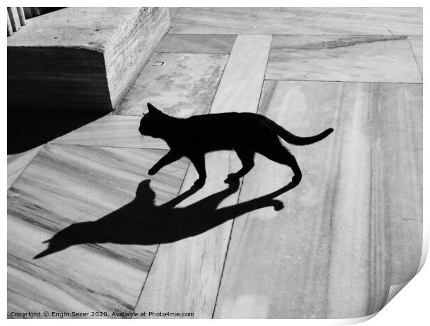 Black Cat and Shadow on Marble Floor Print by Engin Sezer