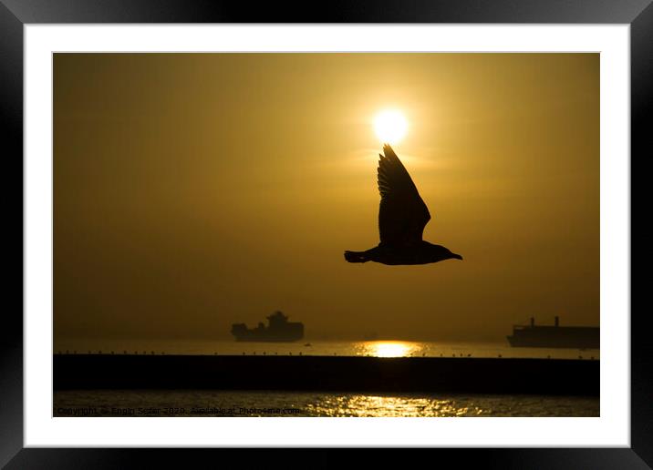 Seagull Silhouette in The Sunset at The Istanbul Framed Mounted Print by Engin Sezer