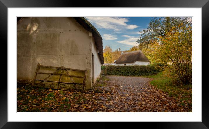 Autumnal Framed Mounted Print by Richard Downs