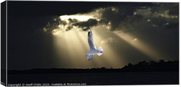 Seagull and Sunbeams in Ocean Sunset. Canvas Print by Geoff Childs