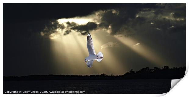 Seagull and Sunbeams in Ocean Sunset. Print by Geoff Childs