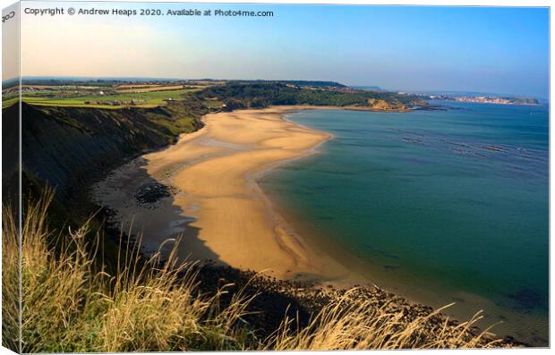 Cayton Beach in Scarborough Canvas Print by Andrew Heaps