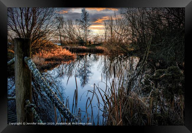 Reflections at Oxford Island Nature Reserve  Framed Print by Jennifer Nelson